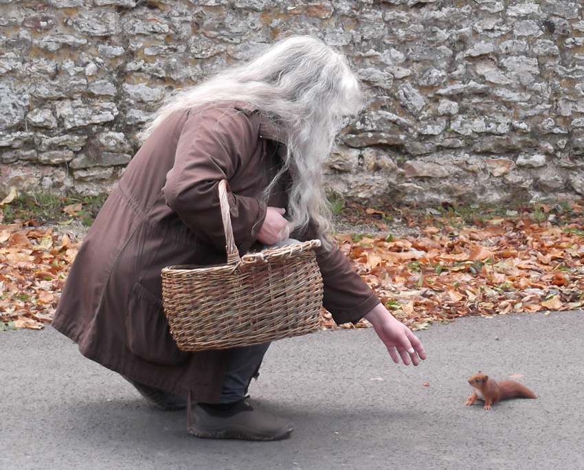 2012-09-29-Mycologie La Hauteville